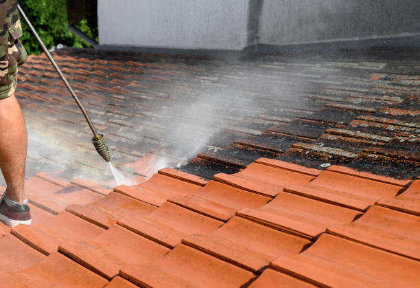 Best Affordable Pressure Washing  in Henderson, NV
